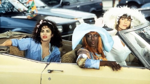 To Wong Foo, Thanks for Everything! Julie Newmar screenshot 2