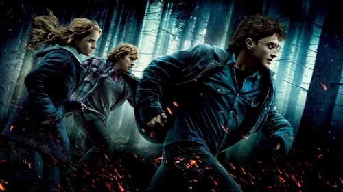 Harry Potter and the Deathly Hallows: Part 1 screenshot 2