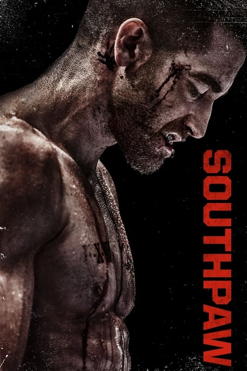 Southpaw screenshot 1