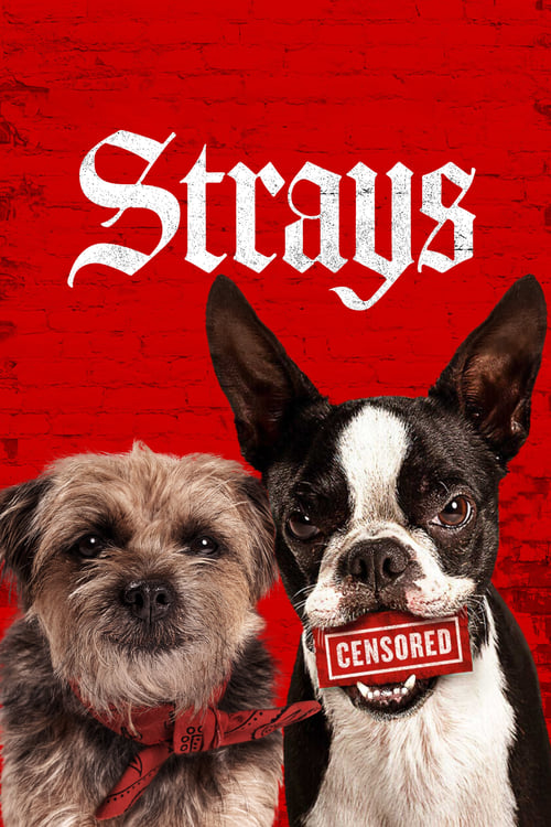 Strays screenshot 1