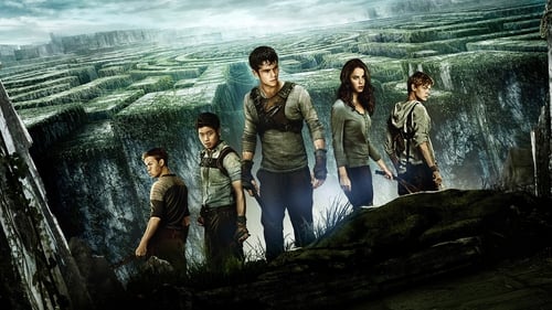 The Maze Runner screenshot 2