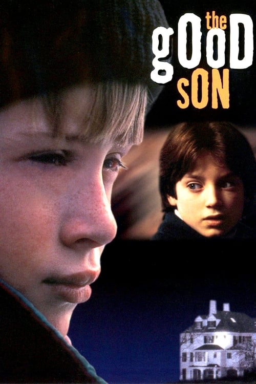 The Good Son screenshot 1