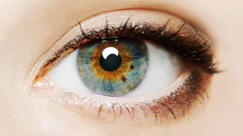 I Origins screenshot 2