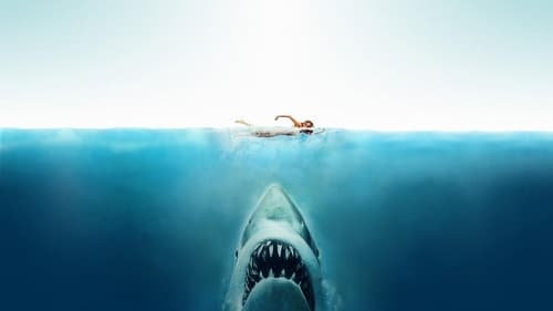 Jaws screenshot 2