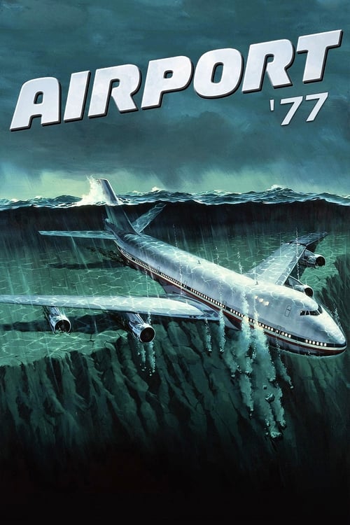 Airport '77 screenshot 1