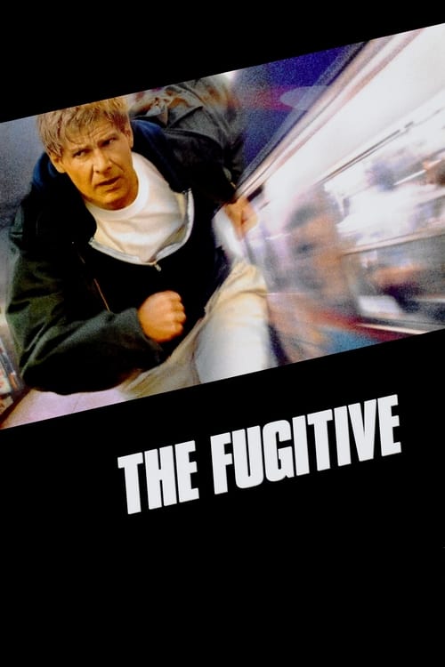 The Fugitive screenshot 1