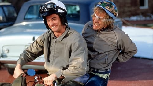 Dumb and Dumber screenshot 2