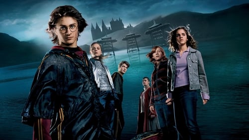 Harry Potter and the Goblet of Fire screenshot 2