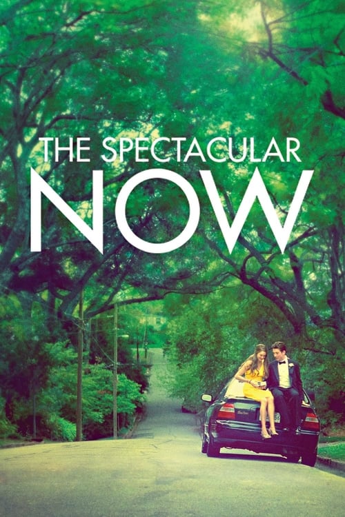 The Spectacular Now screenshot 1