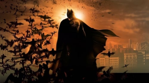 Batman Begins screenshot 2