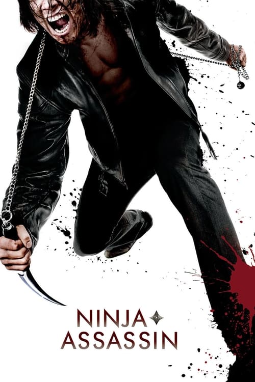 Ninja Assassin screenshot 1