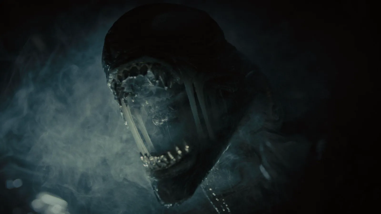 Xenomorph in a still from 